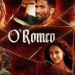 कोर्ट ने शाहिद कपूर की ‘ओ रोमियो’ के पक्ष में फैसला सुनाया, फिल्म की रिलीज पर रोक लगाने की हुसैन उस्तारा की बेटी की याचिका खारिज कर दी | हिंदी मूवी समाचार