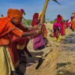 अक्टूबर-दिसंबर में ग्रामीण, शहरी क्षेत्रों में 15 वर्ष और उससे ऊपर की बेरोजगारी दर में गिरावट: पीएलएफएस