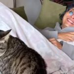 किरण राव ने खुलासा किया कि वह चिकनगुनिया से पीड़ित हैं, लोगों से सावधानी बरतने का आग्रह किया: ‘धीमी गति से चलें’ |