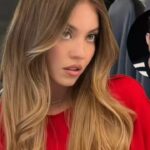 ‘कस्टम्स ऑफ द कंट्री’ के कलाकारों में सिडनी स्वीनी के विपरीत लियो वुडल को शामिल किया गया – रिपोर्ट | अंग्रेजी मूवी समाचार