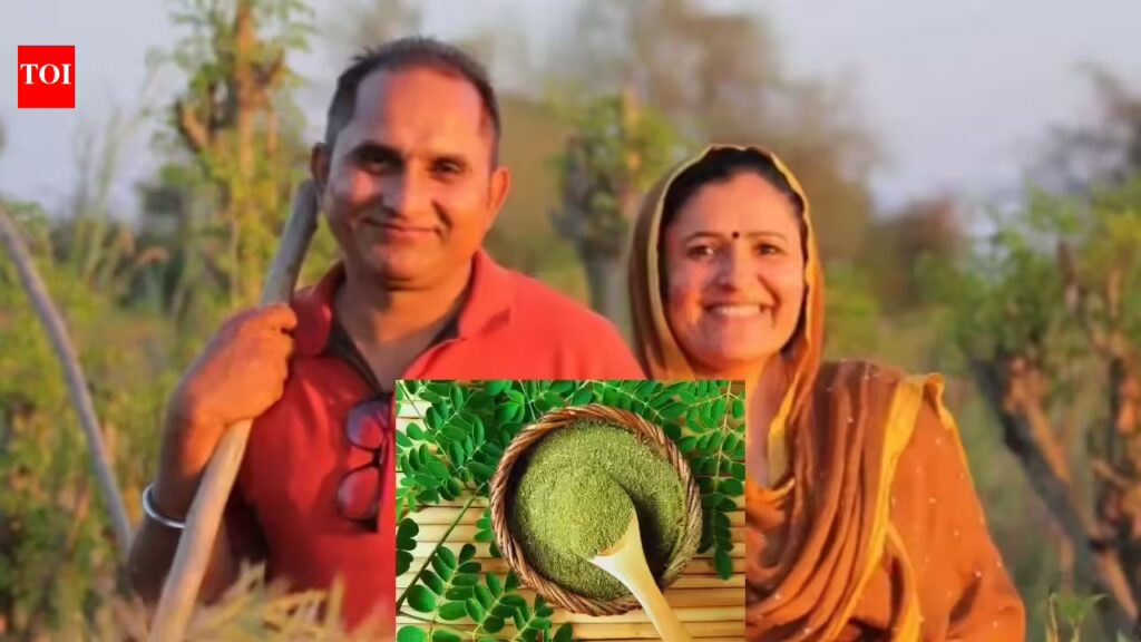 ‘मेरा बीपी 160 था’: कैसे उन्होंने 30 लाख रुपये का कृषि उद्यम शुरू करने के लिए अपनी नौकरी छोड़ दी