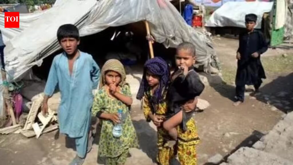 पाकिस्तान में गरीबी चरम पर है, आर्थिक संकट गहराने से असमानता 27 साल के उच्चतम स्तर पर पहुंच गई है 1 पाकिस्तान में गरीबी चरम पर है, आर्थिक संकट गहराने से असमानता 27 साल के उच्चतम स्तर पर पहुंच गई है