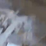 देखें: फुटेज में अफगान मदरसे पर पाकिस्तानी हमले के बाद हुई तबाही कैद है