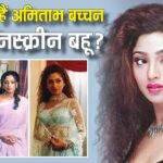 अमिताभ बच्चन की रील लाइफ बहू बनकर इस एक्ट्रेस ने खूब खाईं गालियां, साउथ में चला करियर