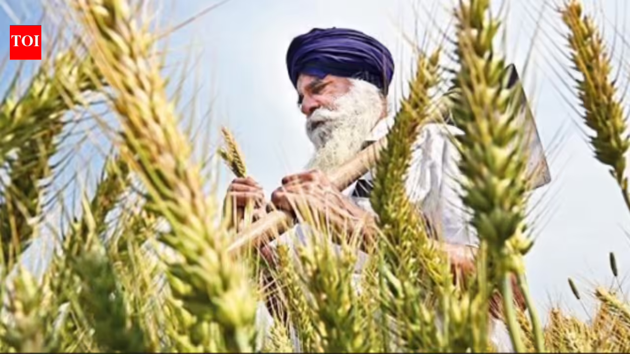 सुप्रीम कोर्ट ने सरकार को सुझाव दिया कि किसानों को धान से दालें अपनाने में मदद करें 8 सुप्रीम कोर्ट ने सरकार को सुझाव दिया कि किसानों को धान से दालें अपनाने में मदद करें