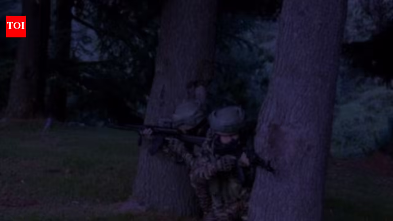 ‘सैनिकों ने संदिग्ध गतिविधि देखी’: जम्मू-कश्मीर के गांदरबल में रात भर चली मुठभेड़ में आतंकवादी मारा गया