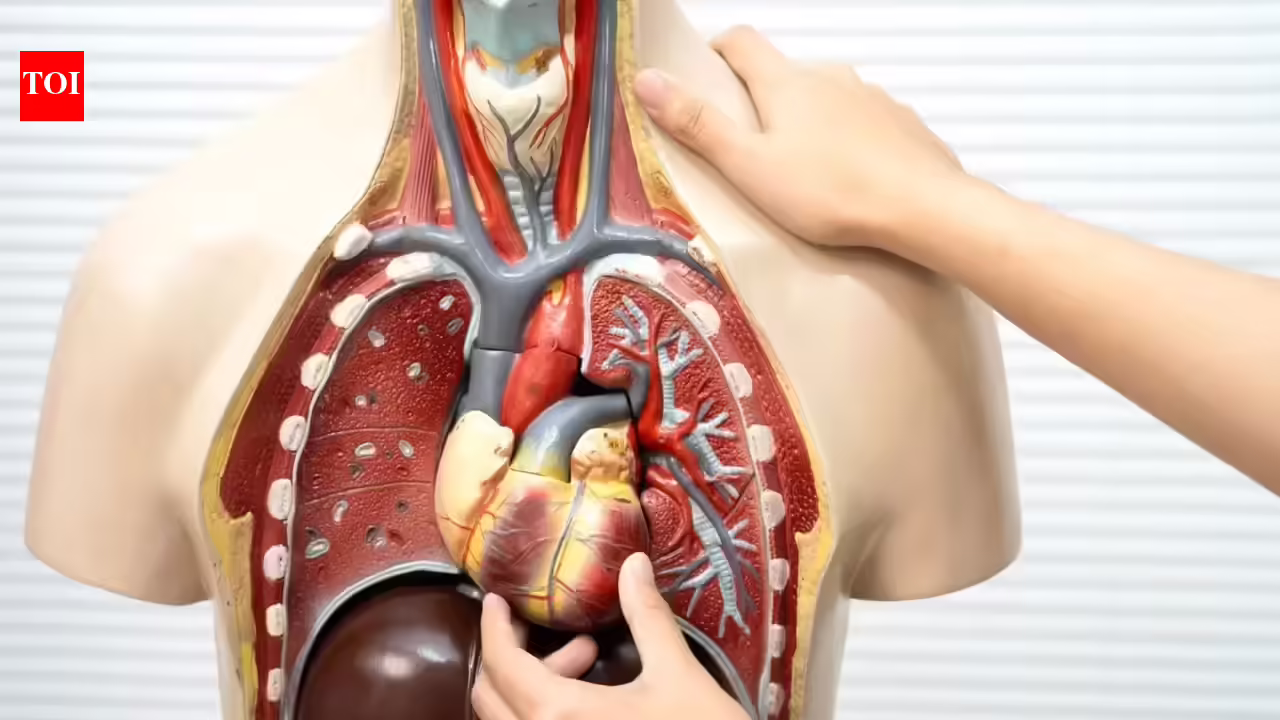 अंग तनाव के सूक्ष्म संकेतों को ज्यादातर लोग नजरअंदाज कर देते हैं और क्षति को कैसे रोका जाए