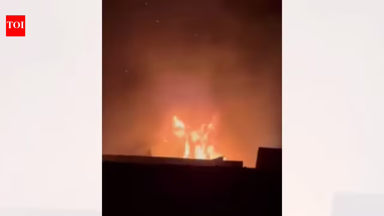 देखें: गोवा के मंड्रेम में समुद्र तट के किनारे बनी झोपड़ी में आग लग गई