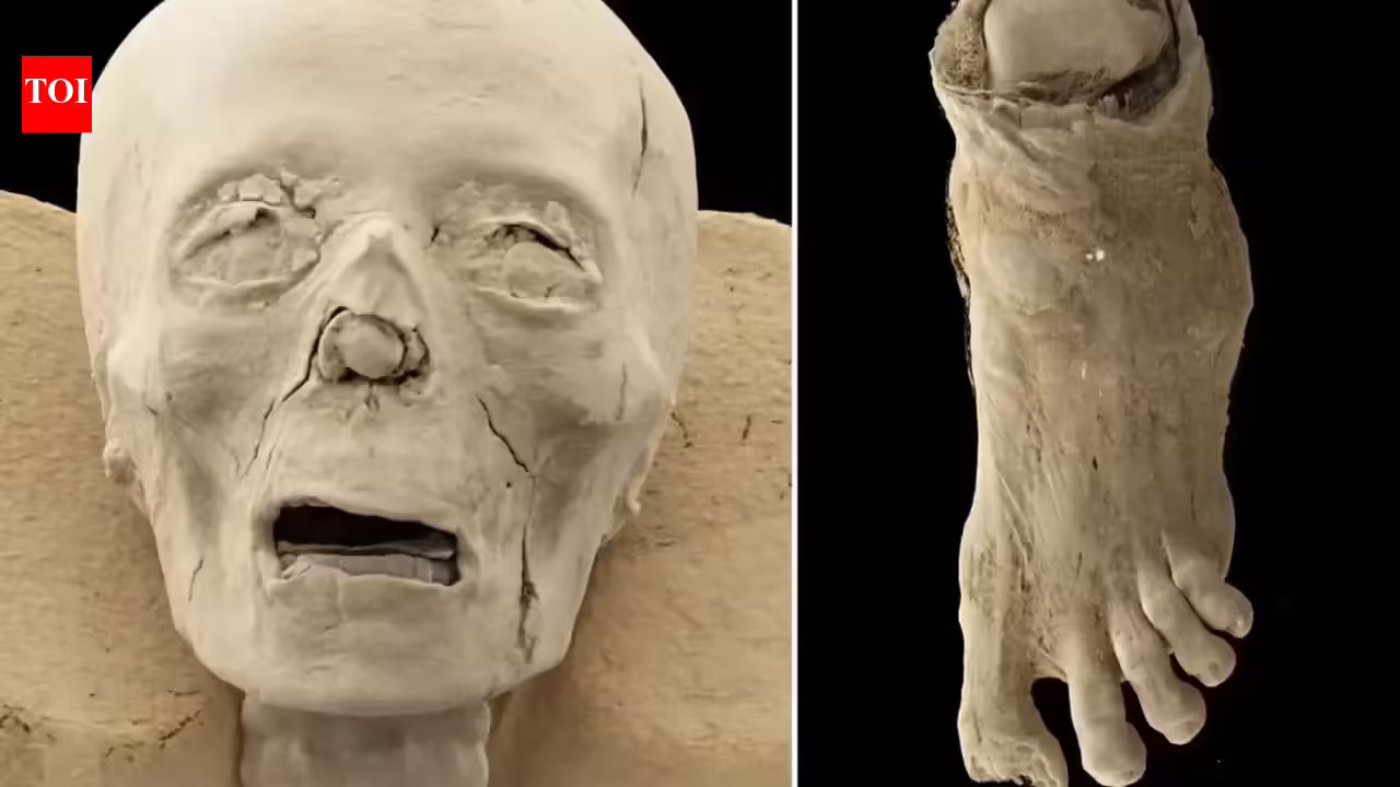 2,300 साल पुरानी मिस्र की ममी के सीटी स्कैन से खोपड़ी, बीमारी और गायब पैर की उंगलियां दिखाई देती हैं