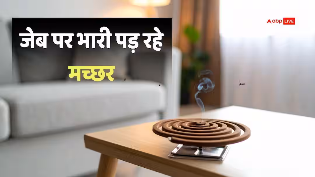 मच्छरों का काटना है ‘महंगा’, सुरक्षा पर हर साल हजारों करोड़ खर्च करते हैं भारतीय, रकम सुनकर चौंक जाएंगे आप!