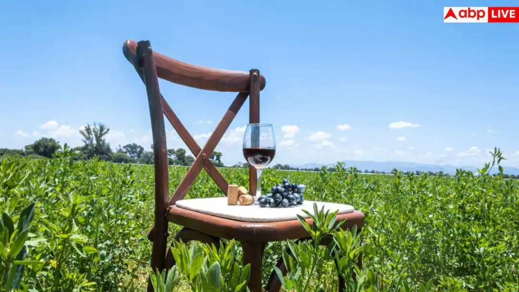Wine Tourism In India: वाइन लवर्स के लिए जन्नत हैं देश की ये 5 जगहें, भूल जाएंगे नासिक का पुराना स्वाद