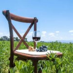 Wine Tourism In India: वाइन लवर्स के लिए जन्नत हैं देश की ये 5 जगहें, भूल जाएंगे नासिक का पुराना स्वाद
