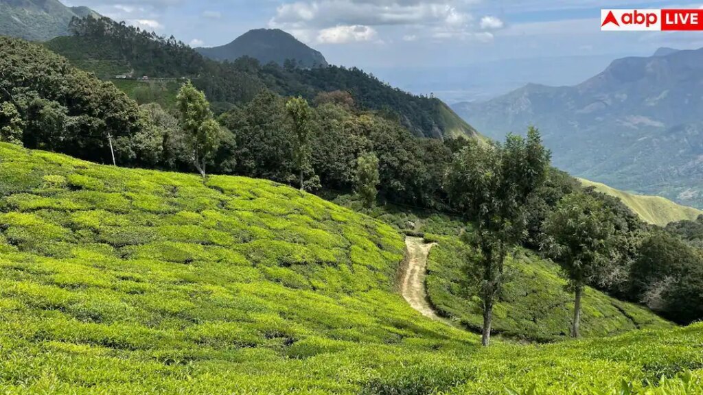 Monsoon Travel: बारिश के बाद जन्नत बन जाती हैं भारत की ये 8 खूबसूरत जगहें, तुरंत बनाएं घूमने का प्लान