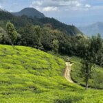 Monsoon Travel: बारिश के बाद जन्नत बन जाती हैं भारत की ये 8 खूबसूरत जगहें, तुरंत बनाएं घूमने का प्लान