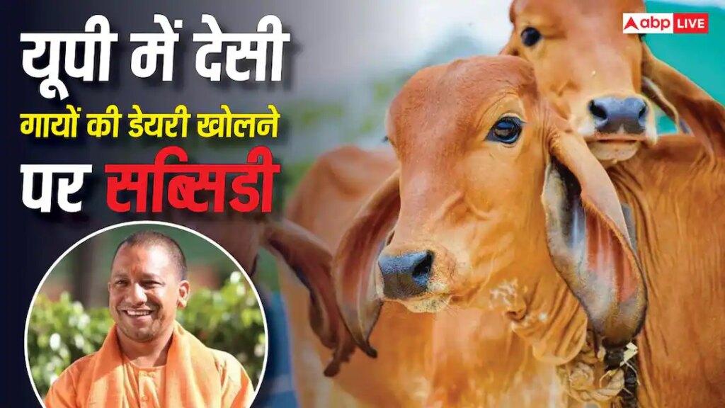 यूपी में देसी गाय की डेयरी खोलने का सुनहरा मौका, सरकार से पाएं 11.80 लाख की तगड़ी मदद
