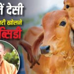 यूपी में देसी गाय की डेयरी खोलने का सुनहरा मौका, सरकार से पाएं 11.80 लाख की तगड़ी मदद