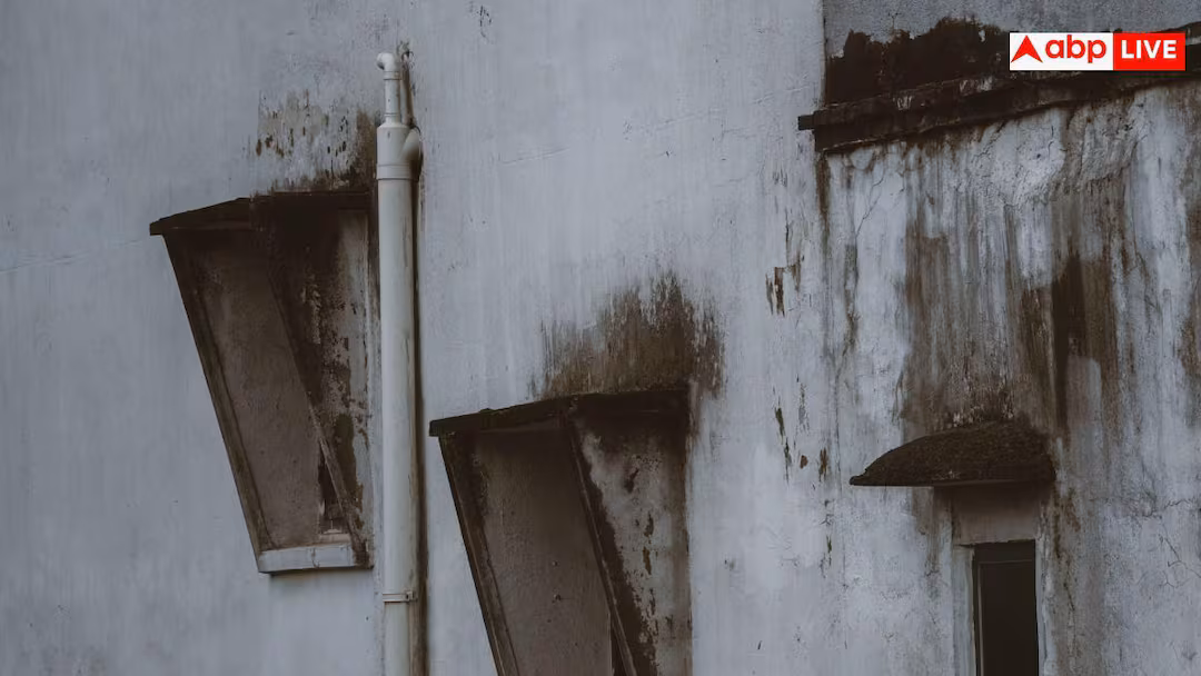 Mildew Prevention: बारिश में घर को सीलन और फफूंदी से बचाएंगे ये आसान तरीके, आज ही नोट कर लें ये टिप्स