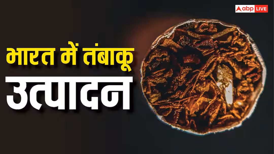 World No Tobacco Day: भारत में कहां होता है सबसे ज्यादा तंबाकू, कौन सा राज्य इसमें नंबर वन?