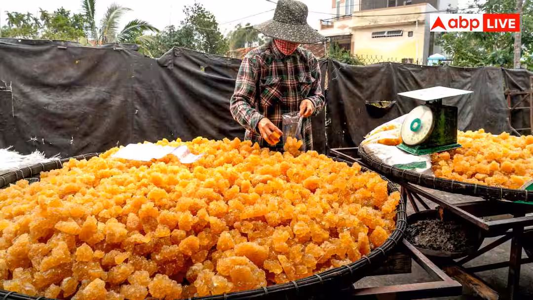 Jaggery from 1 quintal sugarcane: 1 क्विंटल गन्ने से कितना बनेगा गुड़? खर्च से लेकर मुनाफे तक का पूरा गणित समझ लें किसान भाई