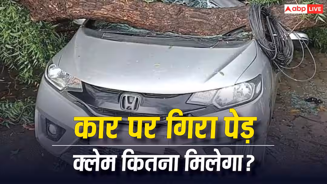 मानसून में पेड़ गिरने से डैमेज हो जाए कार तो कैसे लें इंश्योरेंस, जीरो डेब्ट पॉलिसी में कितना मिलेगा क्लेम?