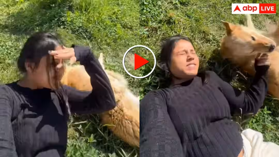 ‘रील बना रही थी हजामत बन गई’ डॉग ट्रेंड करना पड़ा भारी, दीदी पर कुत्ते ने कर दिया हमला- वीडियो वायरल