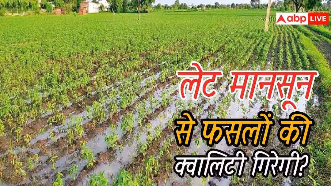 दिल्ली में 5 दिन लेट आया मानसून, इससे फसलों की क्वालिटी पर कितना पड़ेगा असर?